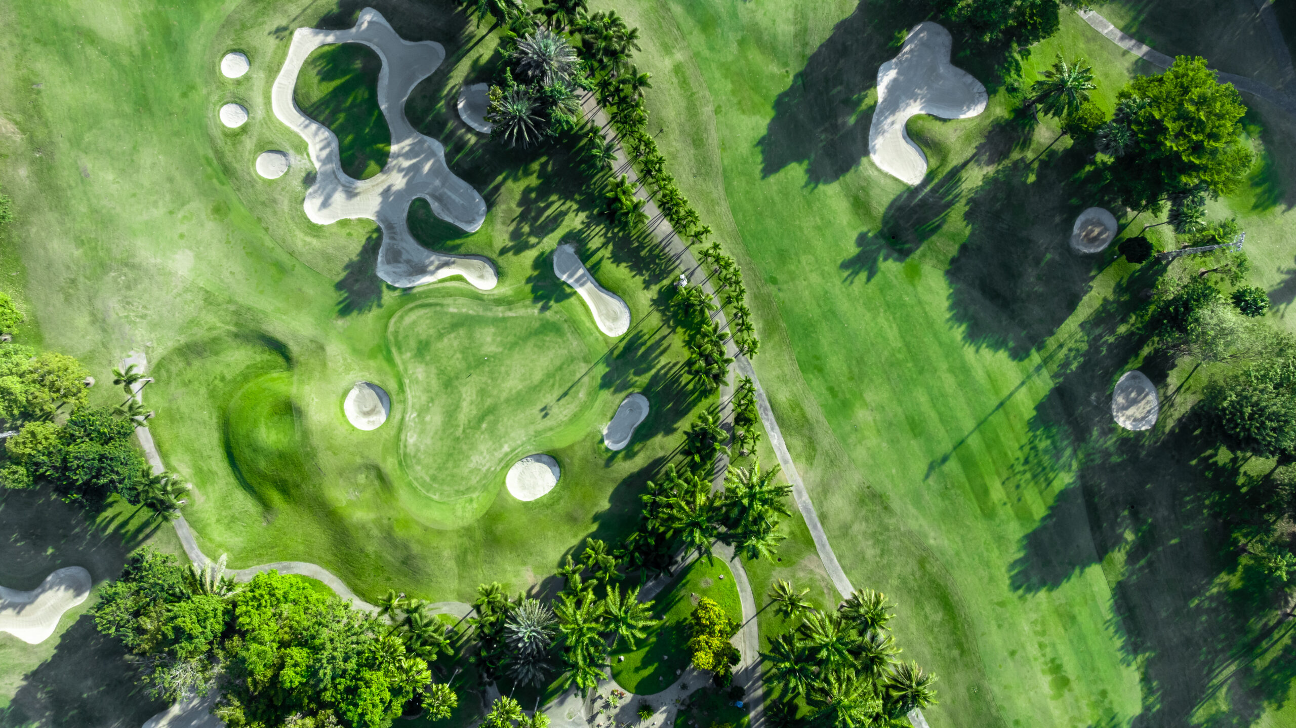 Top view golf course with lush greens, green fairway and sand bunker, Golf course green grass and trees fairway and putting green, Beautiful golf course.